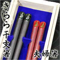 �y���������z�˔��t���v�w��[2�V�Z�b�g] ����犱�x��